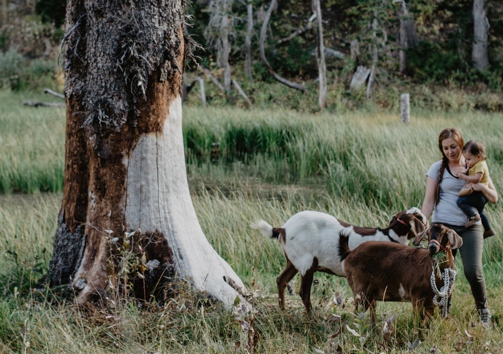 Jocilyn Bennett Photography | National Park Elopement Photography | Capturing raw and genuine emotion | Goat backpacking | Logan Canyon | Camping with a toddler |