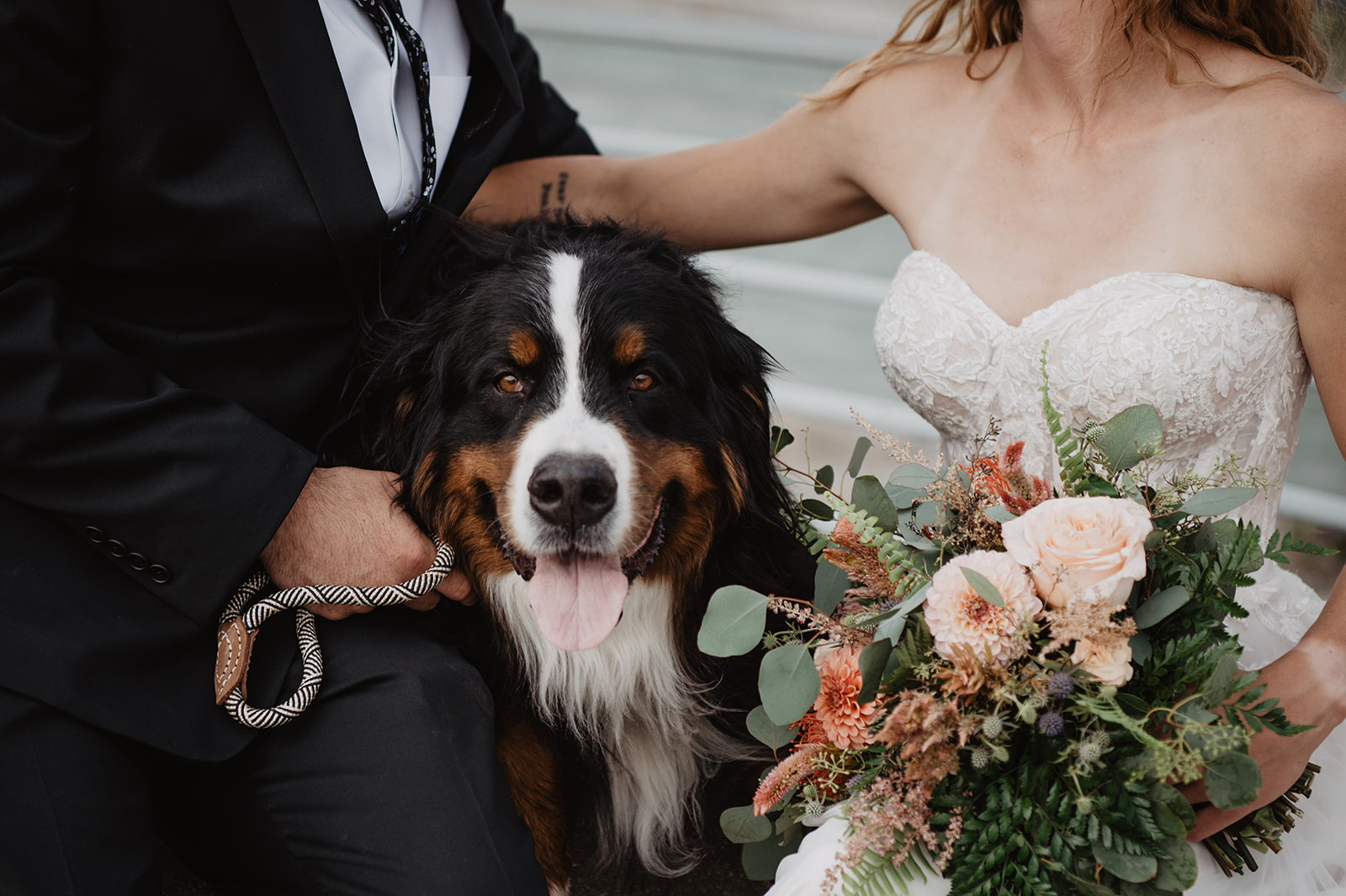 bride and groom sitting together as their dog sits on their laps as looks to the camera