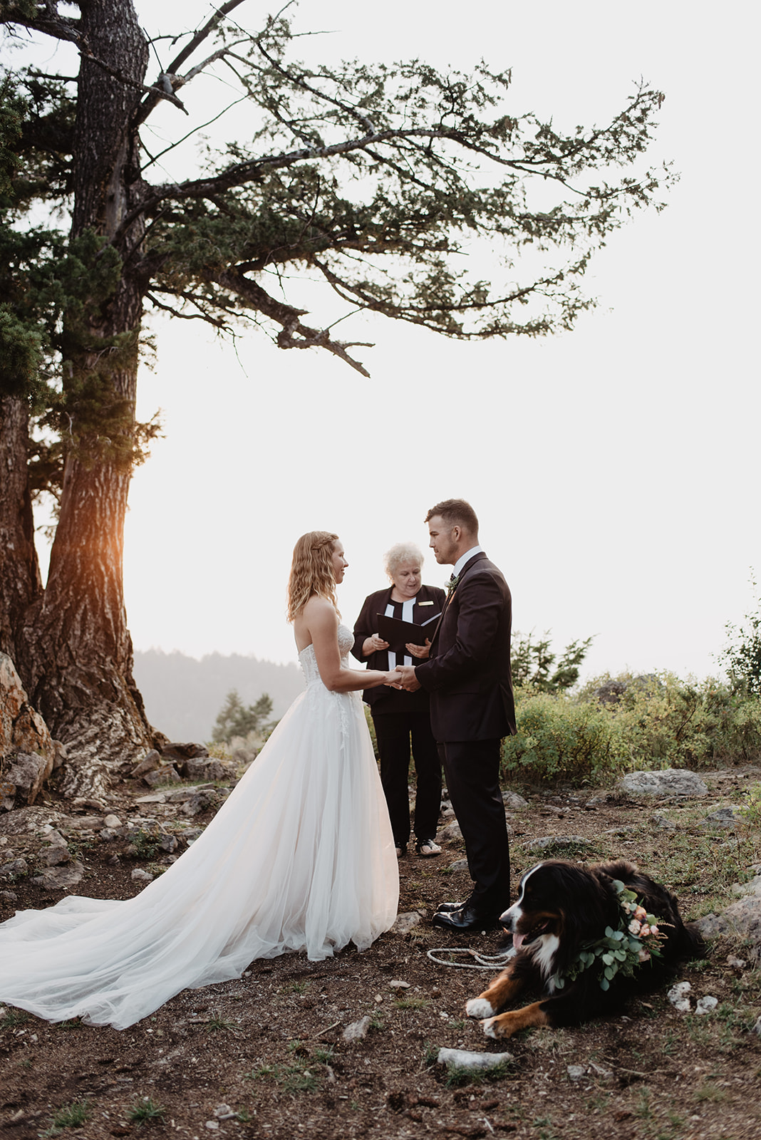 wedding tree in Jackson Hole ceremony inthe summer with bride and groom holding hands and saying their vows under the tree as the sun sets in the distance over the mountains