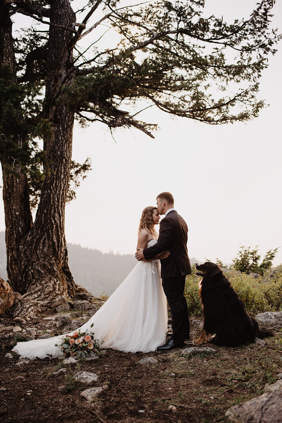 groom kisses his brides forehead under a tree as the sun sets behind them and their dog sits near them