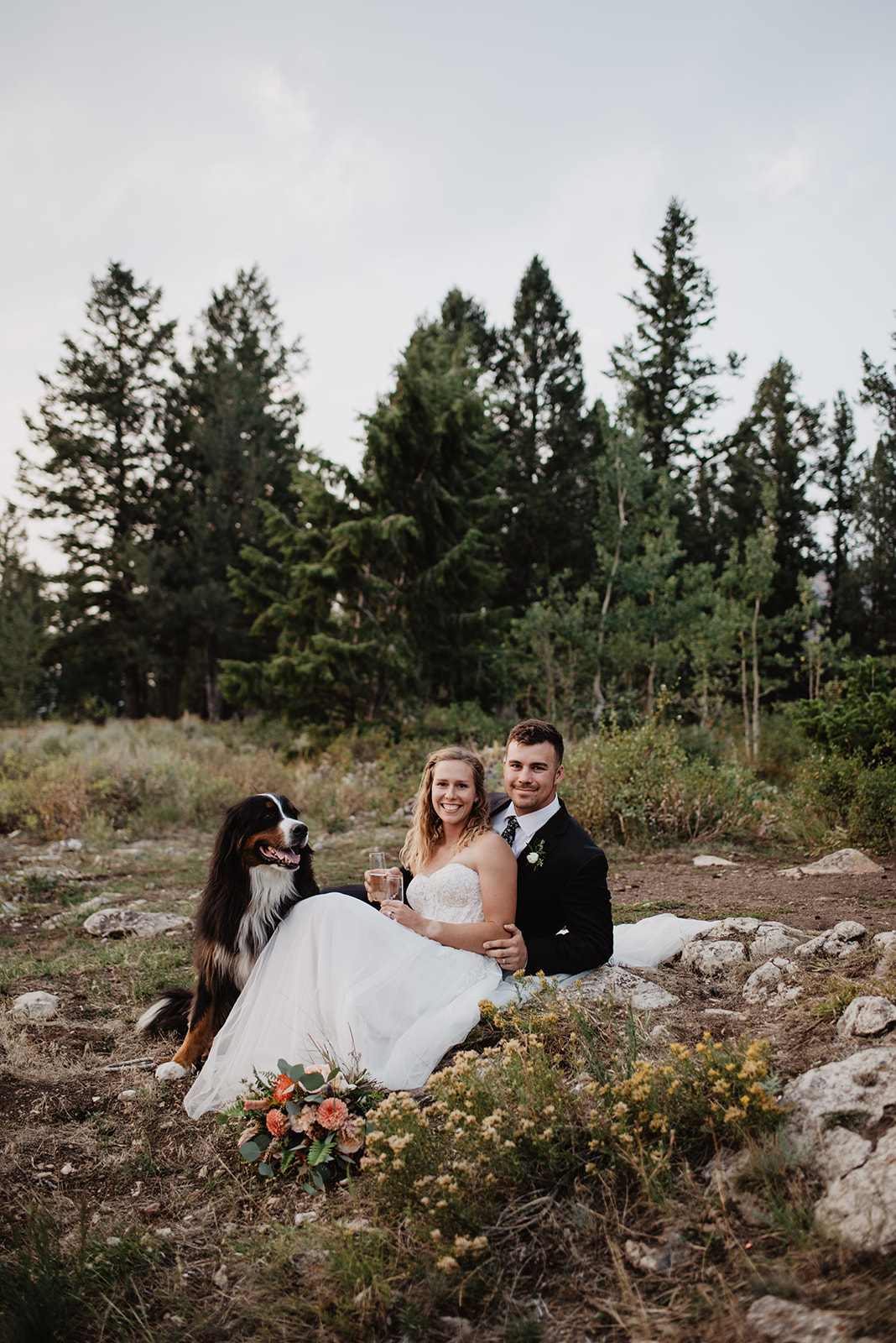 adventure elopement at the Wedding Tree in Jackson HOle with bride and groom sitting on the ground with their Shepard dog drinking champange and watching the sunset with large pine trees towering over them