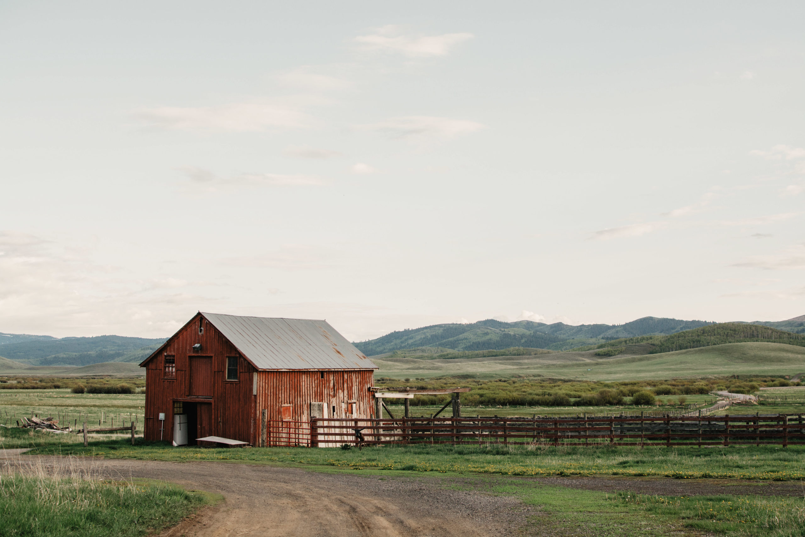 family ranch in Idaho with beautiful green rolling hills and a tall red barn