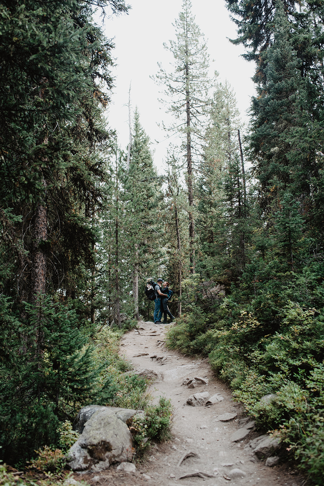 image of couple hiking through the woods in the Grand Tetons on their wedding day with tall and magestic trees surrounding them as they hike through dirt paths