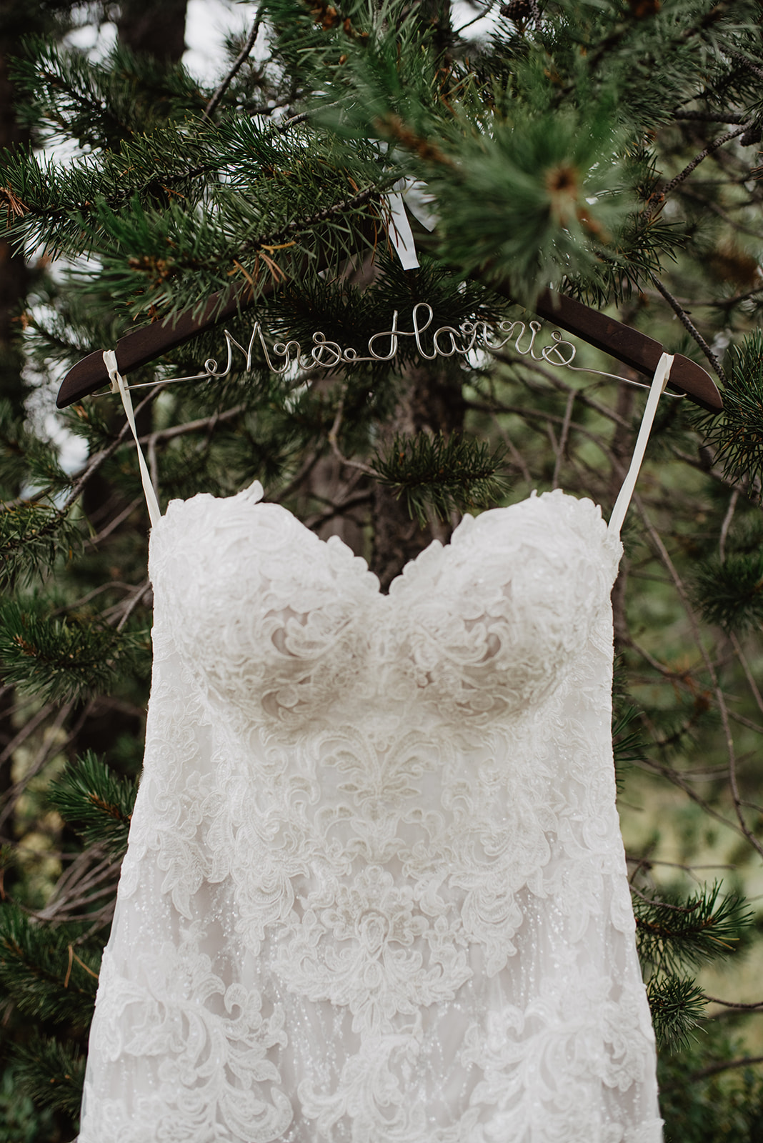 brides wedding dress hanging on a pine tree in the Grand Tetons