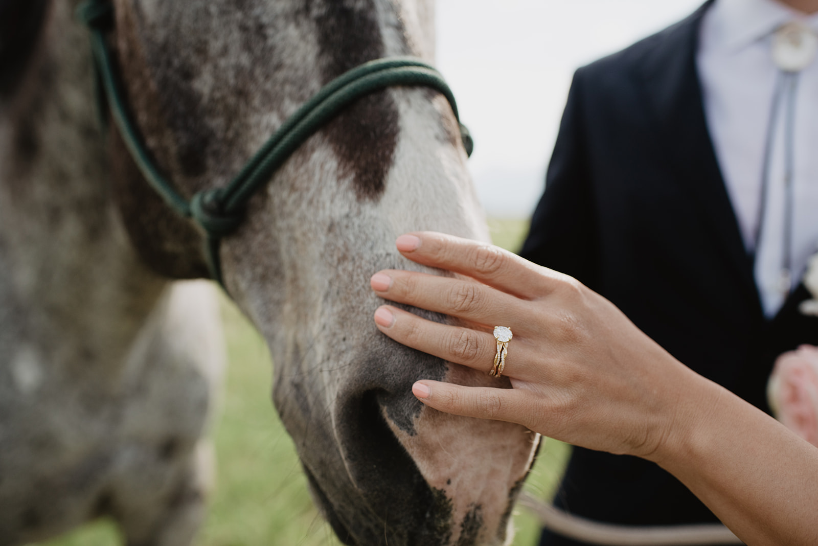 detail shot of brides wedding ring as she pets a horse