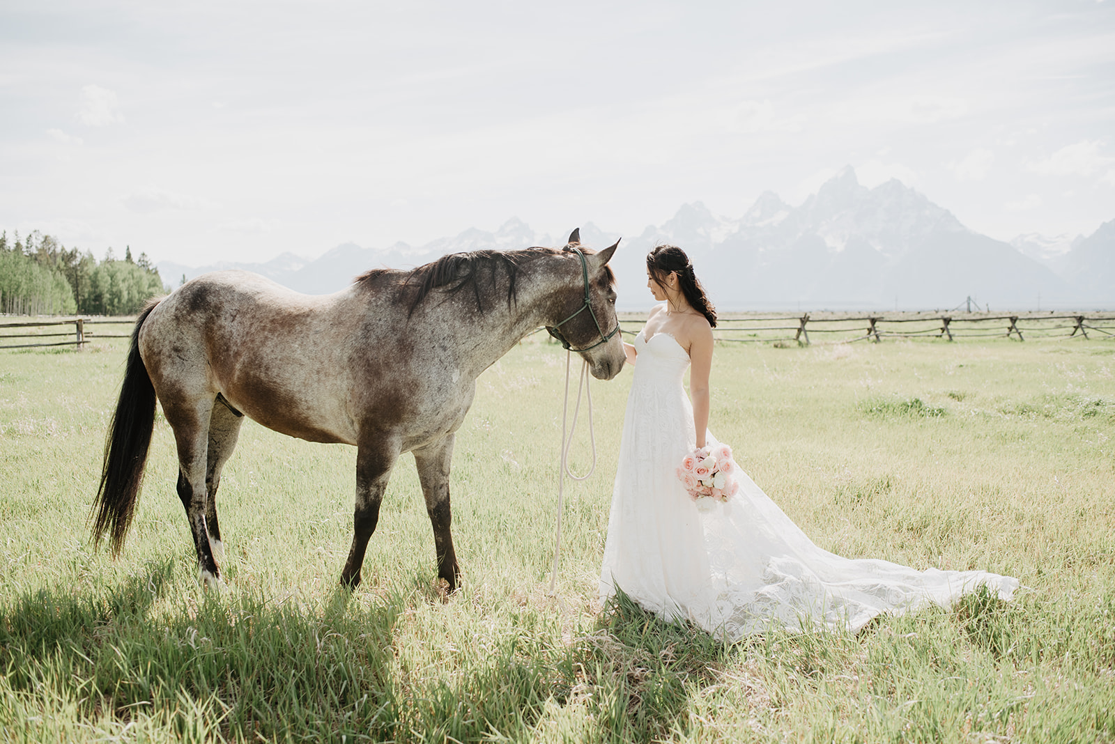 bride with a horse in a field on her Jackson Hole destination wedding