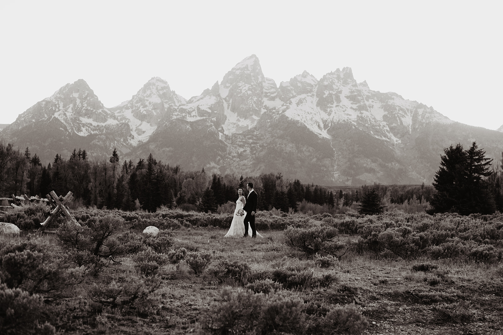 black and white image of the Grand Tetons with bride and groom holding hands and walking through the meadow 