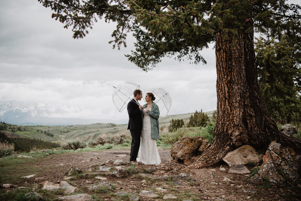 wedding tree ceremony in Jackson Hole with bride and groom holding clear umbrellas 