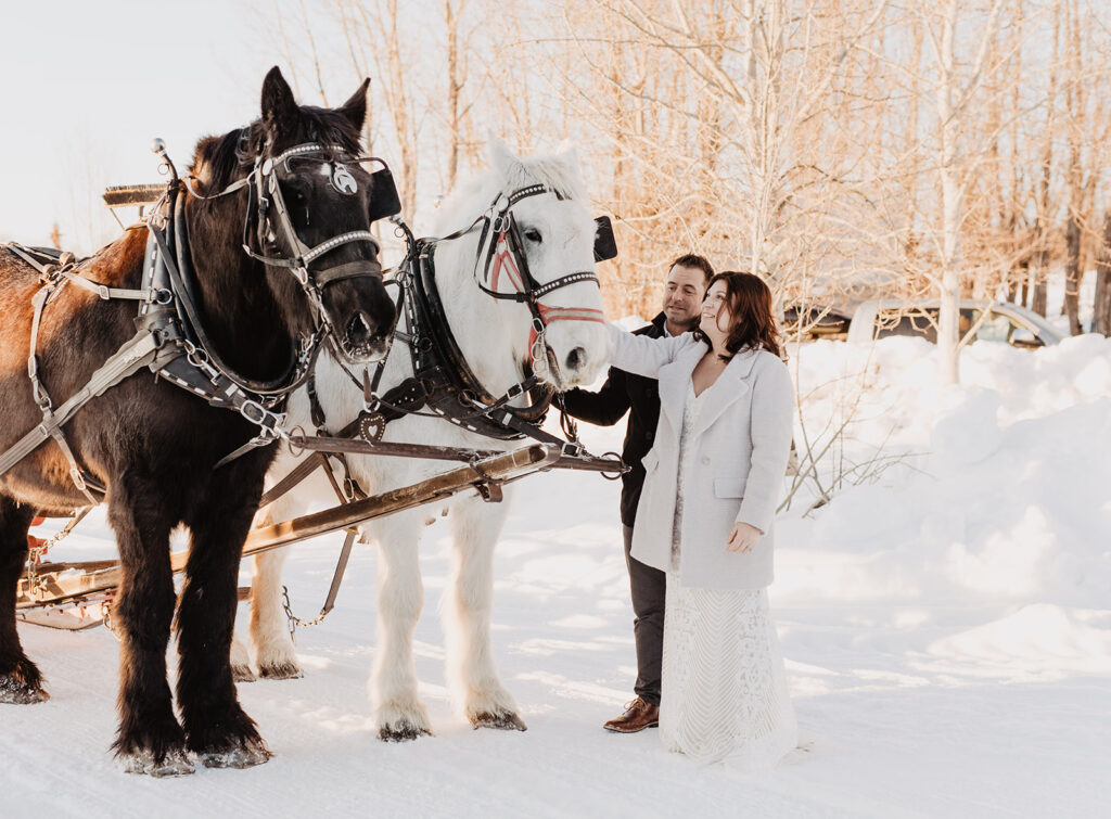 Grand Teton photographer captures bride and groom touching horses