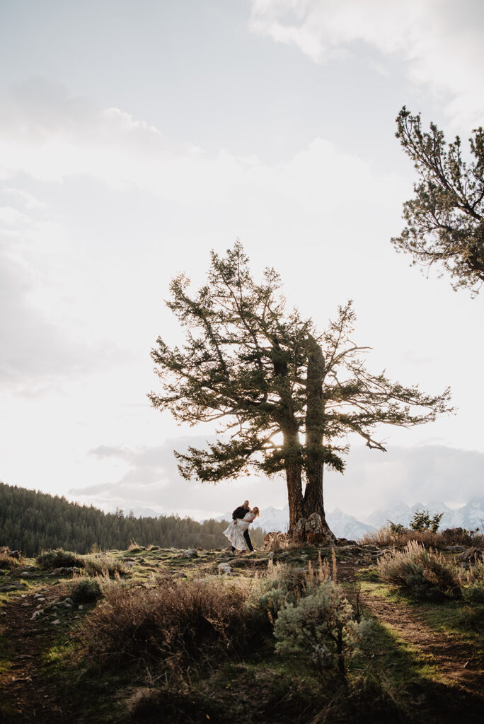 Jackson Wy photographer captures couple standing by tree and dancing