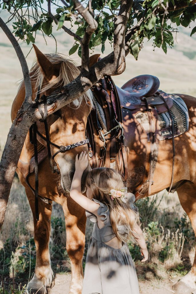 flower girl pets a horse in a pasture for an elopement